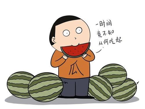 北美吃瓜学英语,轻松掌握地道口语的秘诀