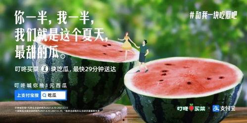 吃瓜女文案,一场关于娱乐与八卦的狂欢