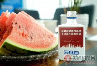 如何吃山东小白瓜,解锁美味新体验