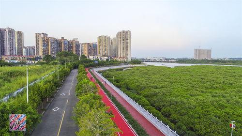 晚上防城港网红公路,防城港璀璨光影之旅