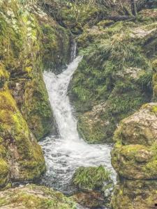 龙苍沟今日头条