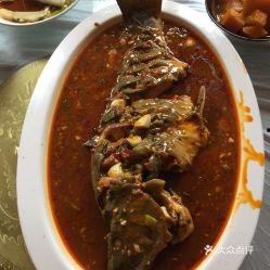 冷水鱼爆料美食视频大全