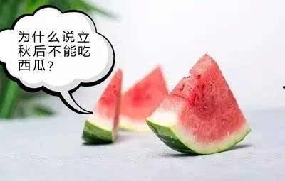 立秋之后吃蜜不吃瓜,秋瓜伤身——秋季饮食新主张