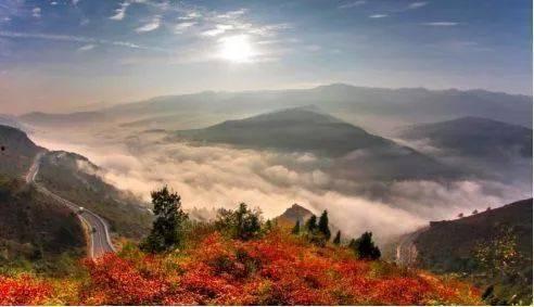 巫山红叶节明星