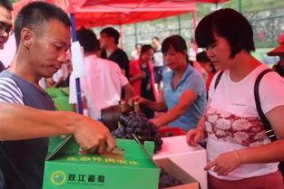 河源法院吃瓜群众,一场网络舆论的风暴与反思