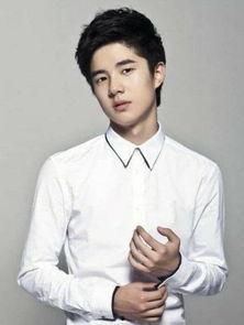 萧姓男明星,星光熠熠，魅力无限